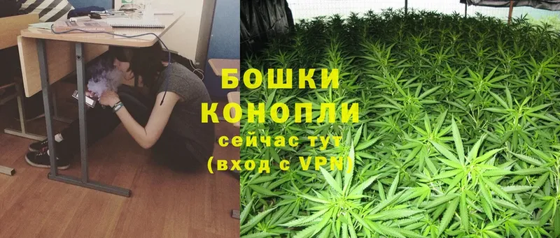 Канабис SATIVA & INDICA  где купить наркоту  Новокубанск 